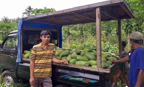 Alumni Prodi Matematika yang Memilih Jadi Petani di Halmahera Sukses Raup Belasan Juta per Bulan